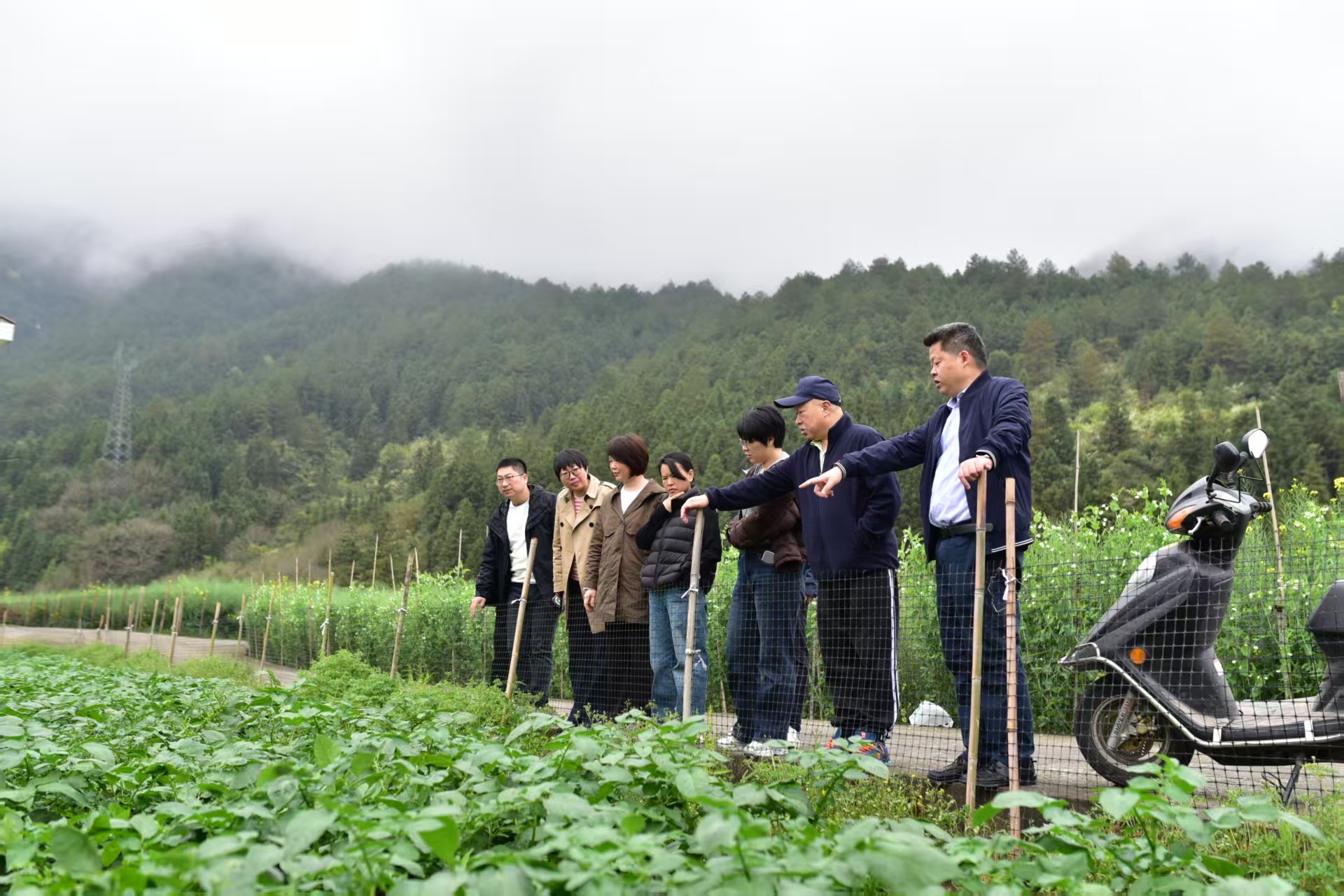 专家现场指导马铃薯晚疫病防控用药.jpg