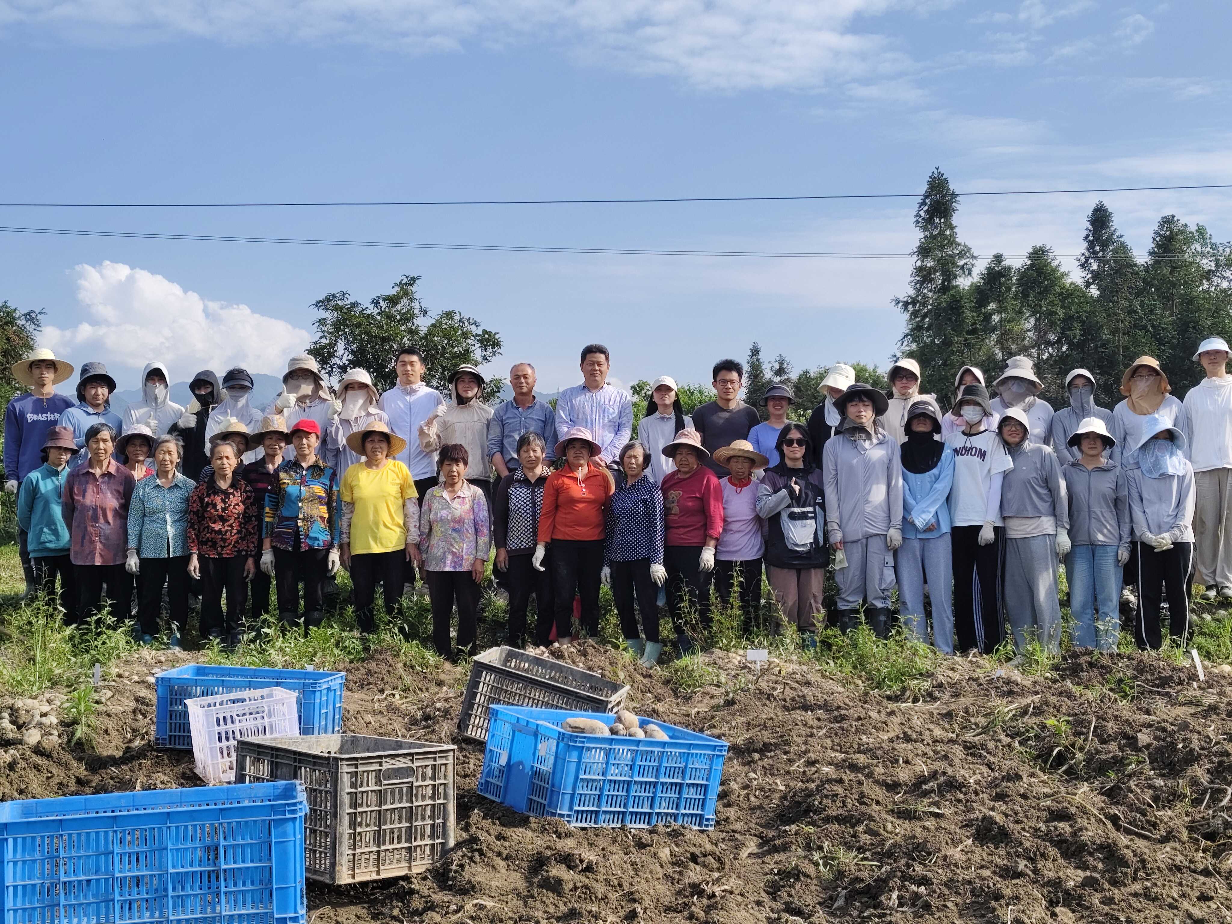 科技赋能薯田,师生助力乡村振兴.jpg